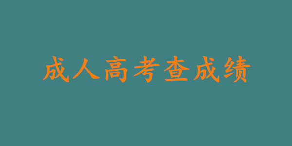 成人高考什么时候出成绩?成绩在哪查